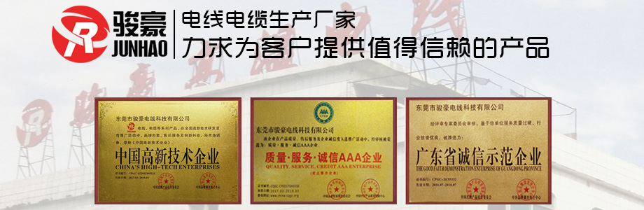 开云电子声誉证书展示