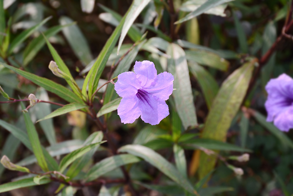 开云电子·kaiyun(中国游)官方网站